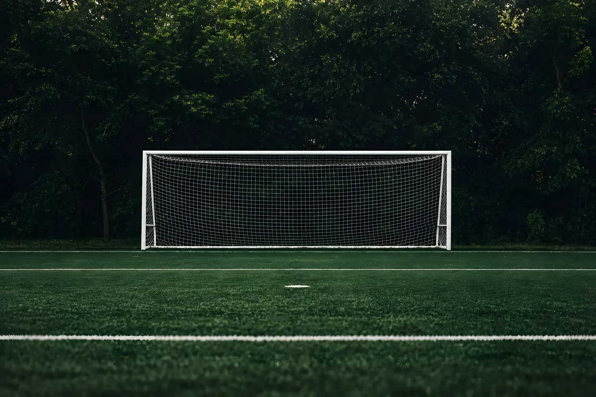 An empty goal in front of trees